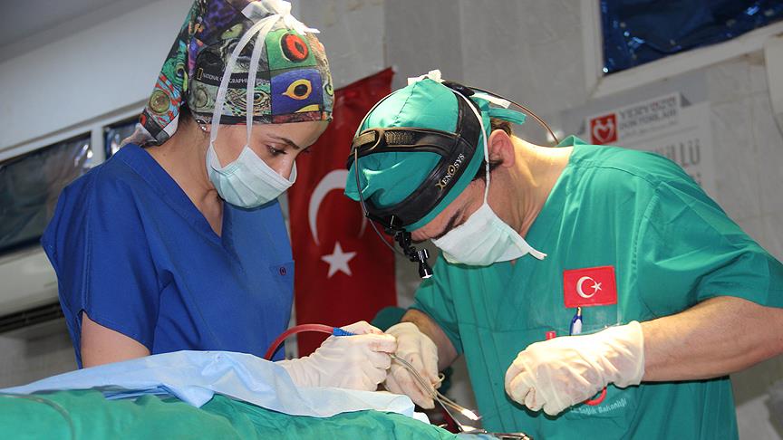 Healthcare in Turkey: A Rising Global Hub 2 turkish medical doctors